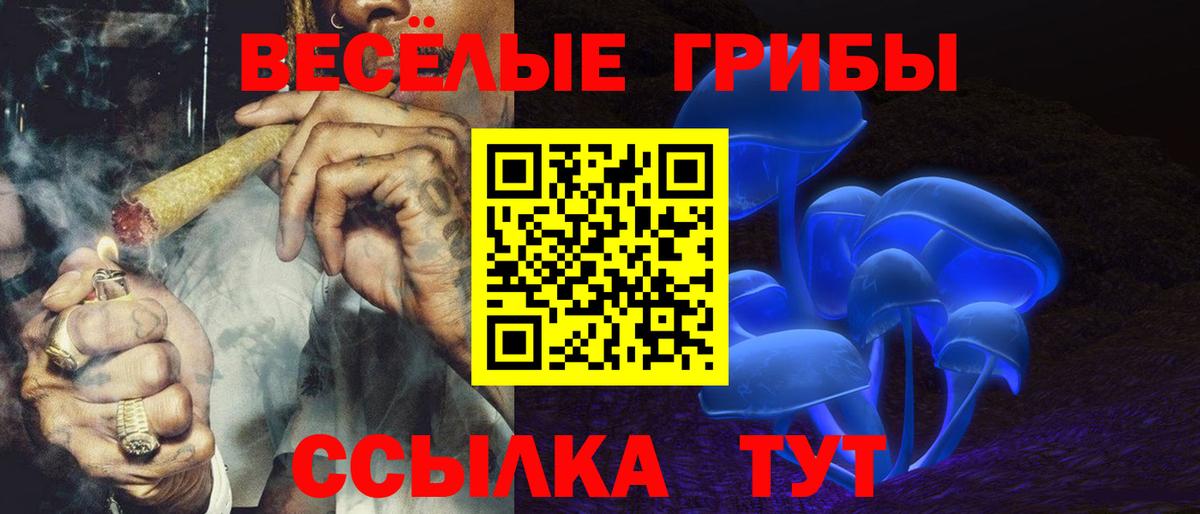 Галлюциногенные грибы Psilocybine cubensis  сколько стоит  Вход с VPN  Асбест  Галлюциногенные грибы Psilocybine cubensis 